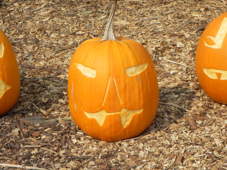 A Tooth, Nipomo Pumpkin Patch best carving idea